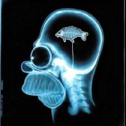 Funny fishing :) 2 - 5484133746917926141971676904025n.jpg